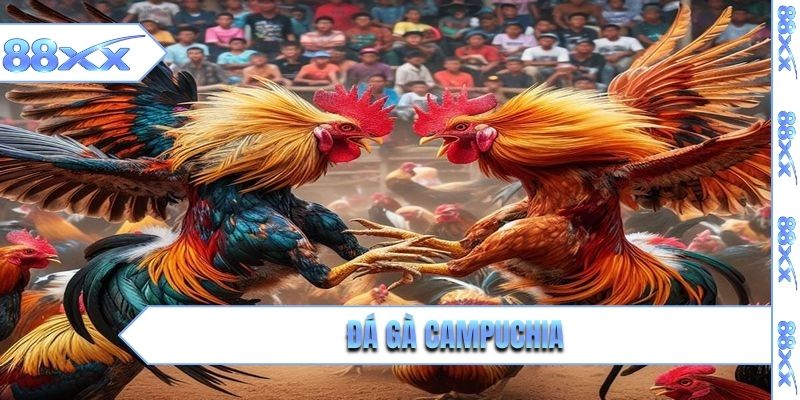 đá gà campuchia