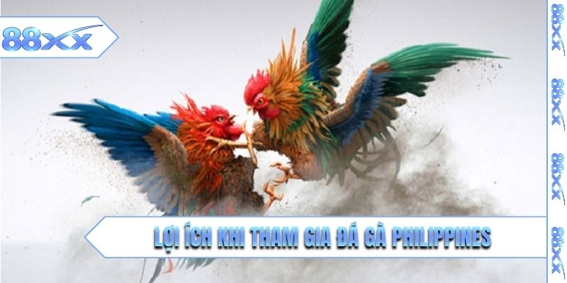 Lợi ích khi tham gia đá gà Philippines